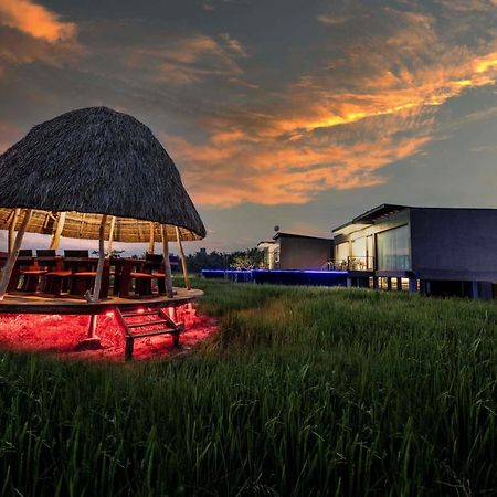 Blue Wild - Yala - Plastic Free & Sustainable Tissamaharama Exterior foto