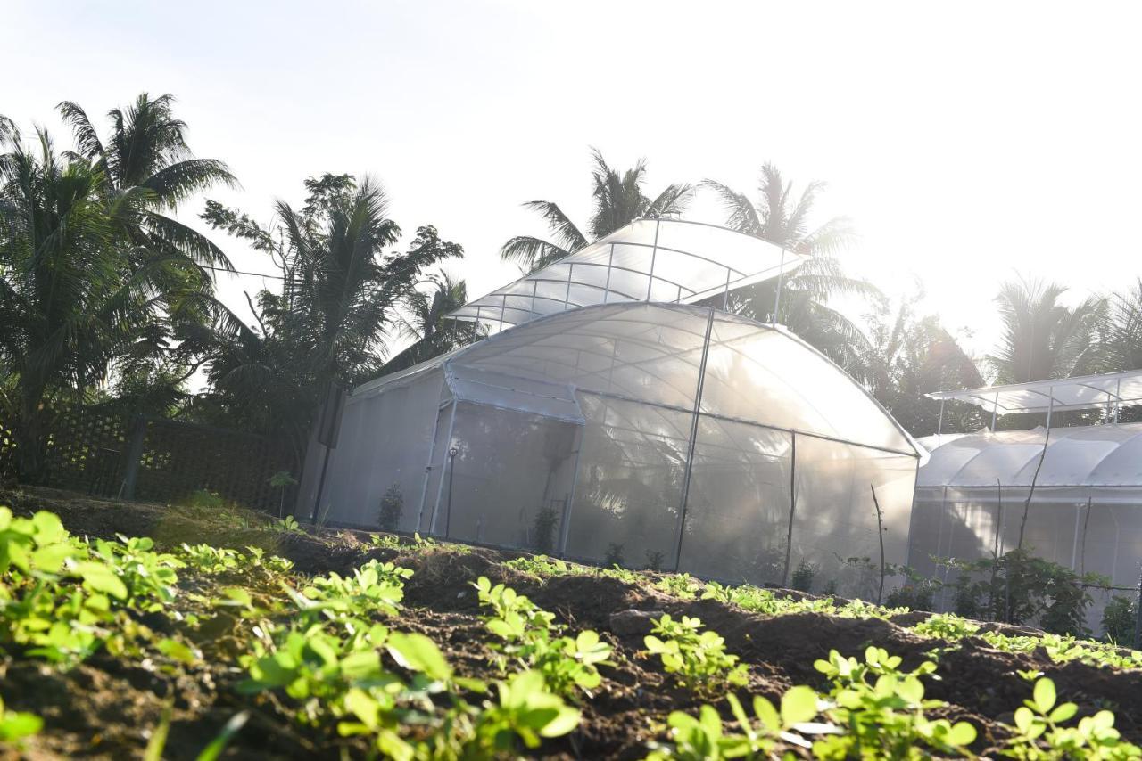 Blue Wild - Yala - Plastic Free & Sustainable Tissamaharama Exterior foto