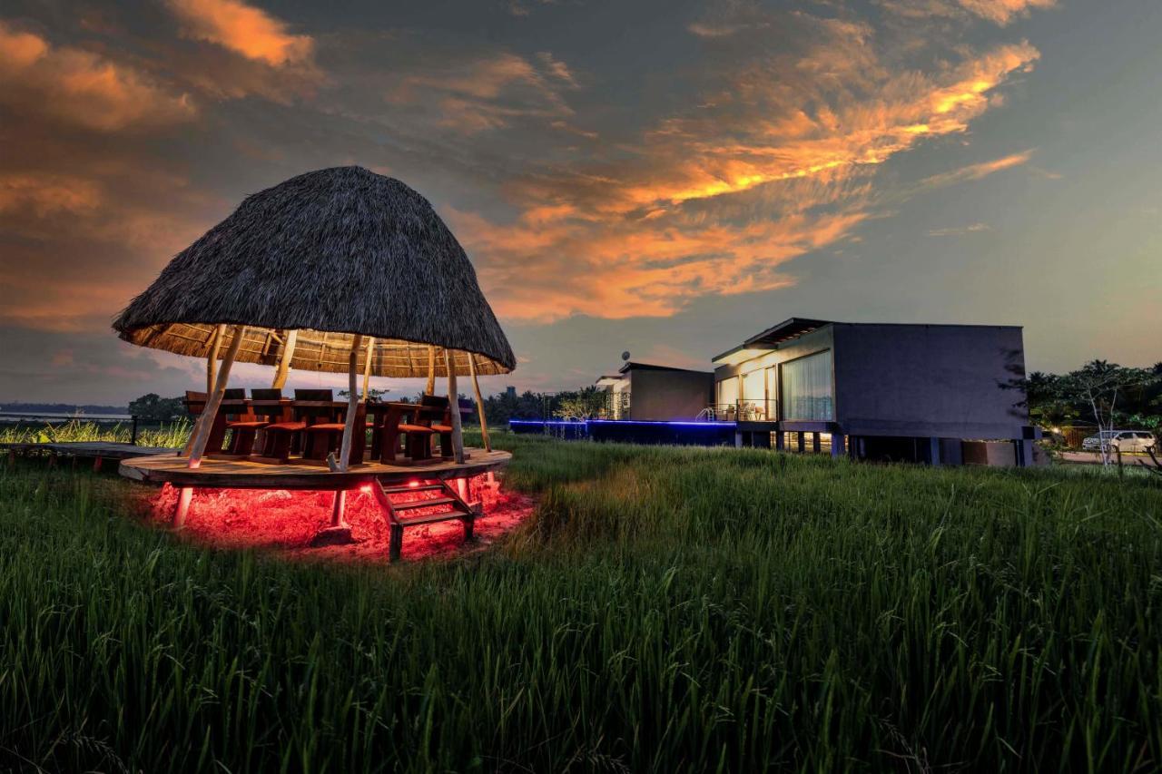 Blue Wild - Yala - Plastic Free & Sustainable Tissamaharama Exterior foto