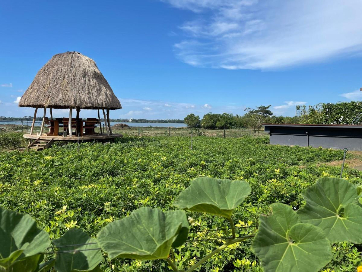 Blue Wild - Yala - Plastic Free & Sustainable Tissamaharama Exterior foto