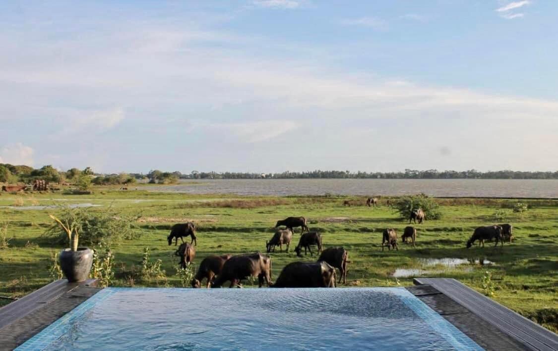 Blue Wild - Yala - Plastic Free & Sustainable Tissamaharama Exterior foto